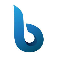 bigthinkcapital logo